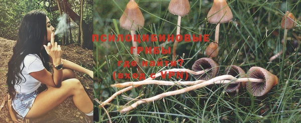 прущая мука Алзамай