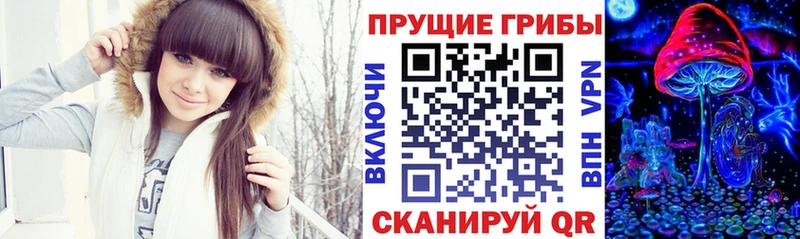 Галлюциногенные грибы MAGIC MUSHROOMS  где продают наркотики  Сосновоборск 